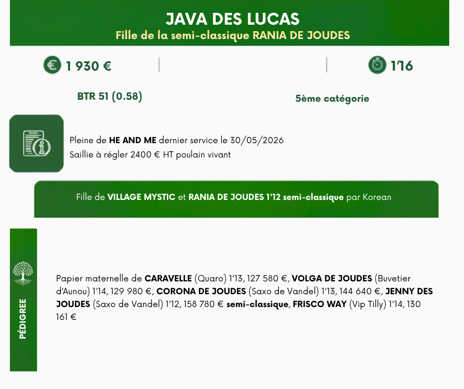 JAVA%20DES%20LUCAS (1)